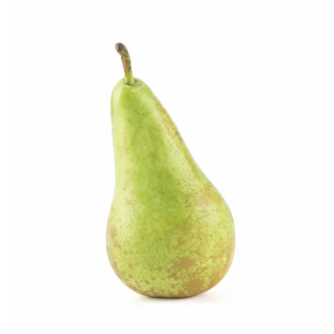 Conference Pear - Single